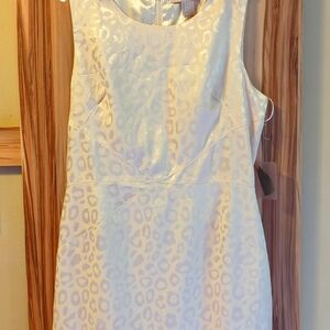 Forever 21 Silk Cheetah print dress